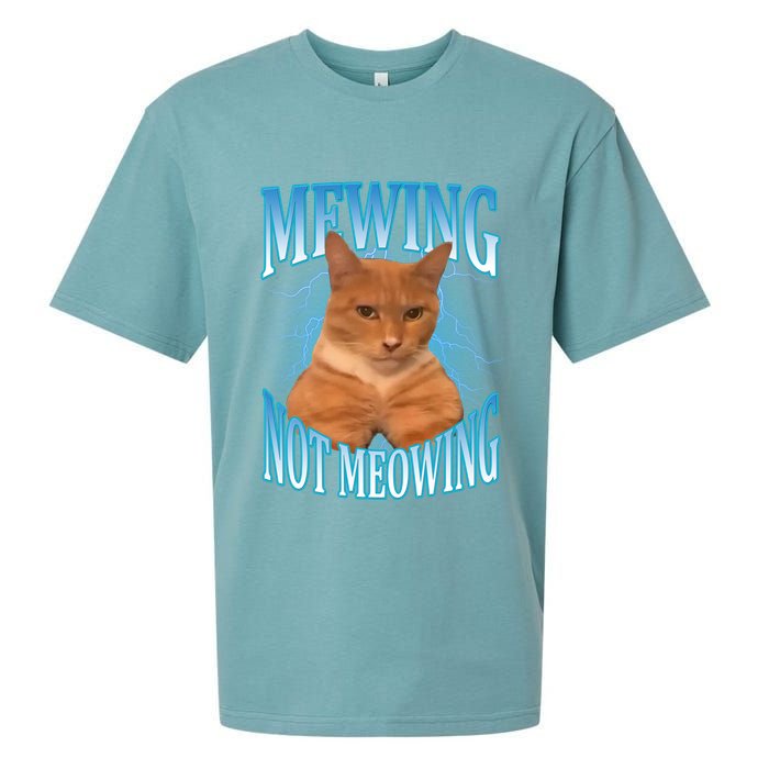 Mewing Not Meowing Funny Cat Meme Sueded Cloud Jersey T-Shirt