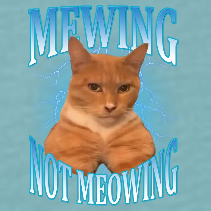 Mewing Not Meowing Funny Cat Meme Sueded Cloud Jersey T-Shirt
