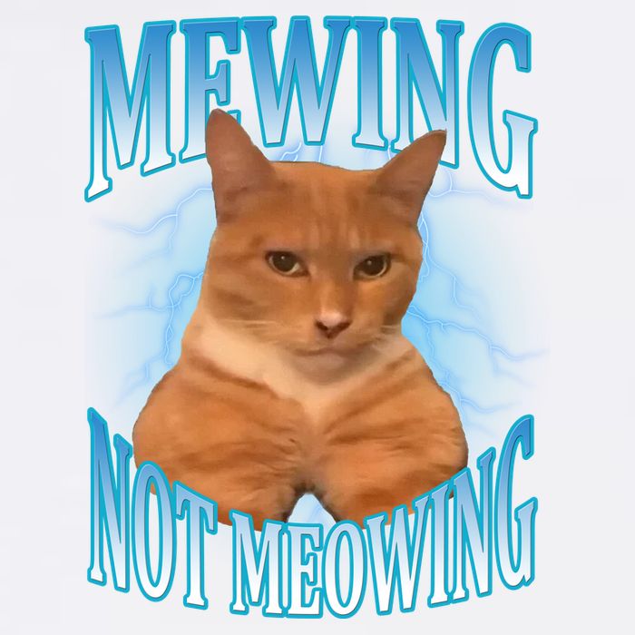 Mewing Not Meowing Funny Cat Meme Garment-Dyed Sweatshirt