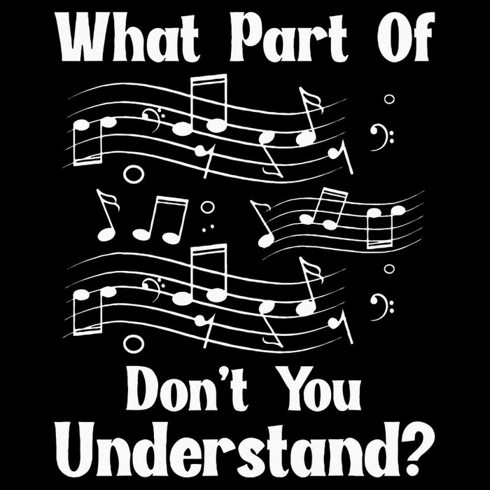 Music Notes Musician What Part Of Dont You Understand Pom Pom 12in Knit Beanie