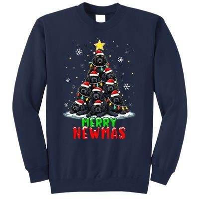 Merry Newmas Newfoundland Christmas Tree Dog Lovers Holiday Tall Sweatshirt