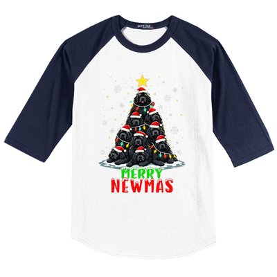 Merry Newmas Newfoundland Christmas Tree Dog Lovers Holiday Baseball Sleeve Shirt