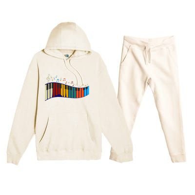 Music Notes Pianist Gift Colorful Piano Premium Hooded Sweatsuit Set