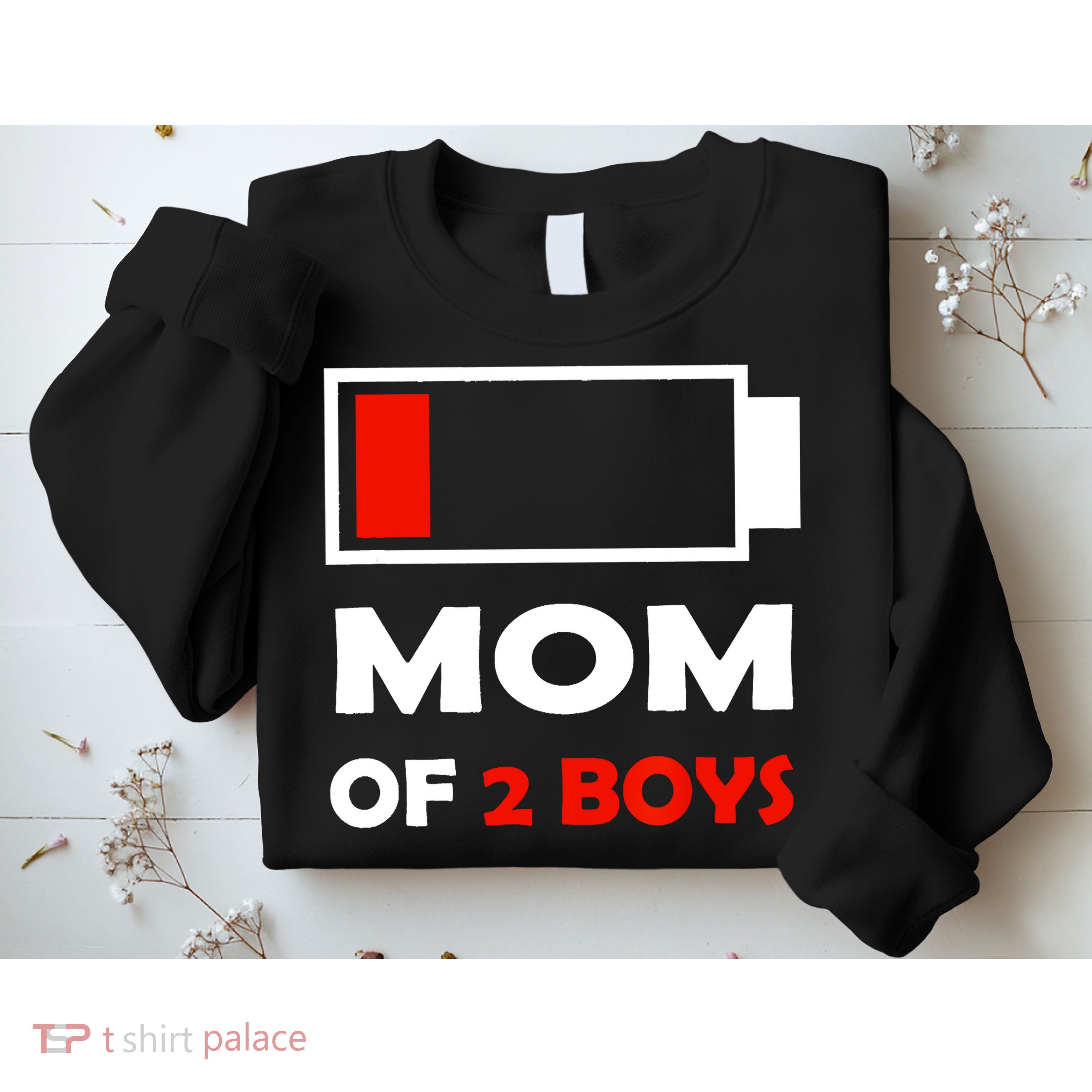 Mom Of 2 Funny Design Sweatshirt