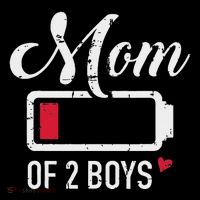 Mom Of 2 Low Battery Bag