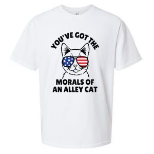 Morals Of An Alley Cat Funny Election Debate Sueded Cloud Jersey T-Shirt