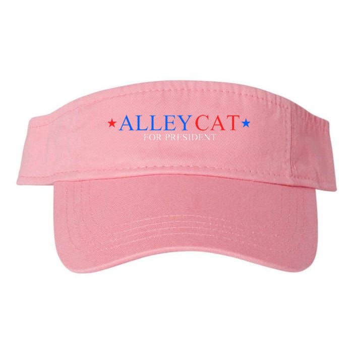 Morals Of An Alley Cat For President 2024 Valucap Bio-Washed Visor