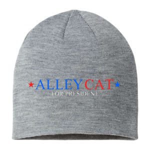 Morals Of An Alley Cat For President 2024 Sustainable Beanie