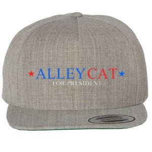 Morals Of An Alley Cat For President 2024 Wool Snapback Cap