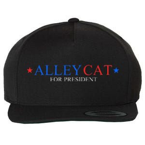 Morals Of An Alley Cat For President 2024 Wool Snapback Cap