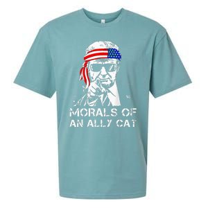 Morals Of An Ally Cat Trump Biden Debate Sueded Cloud Jersey T-Shirt