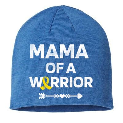 Mama Of A Warrior Dipg Awareness Hood Cancer Warrior Great Gift Sustainable Beanie