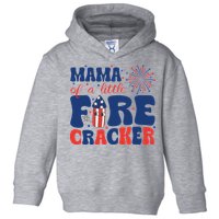 Mama Of A Little Firecracker Family Matching 4th Of July Toddler Hoodie