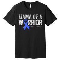 Mama Of A Warrior T1d Mom Diabetic Blue Ribbon Support Gift Premium T-Shirt