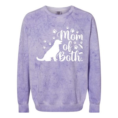 Mom Of Both Cat And Dog Mom Gift Crazy Cat Lady Dog Lover Colorblast Crewneck Sweatshirt