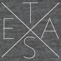Modern Texas  Magnet