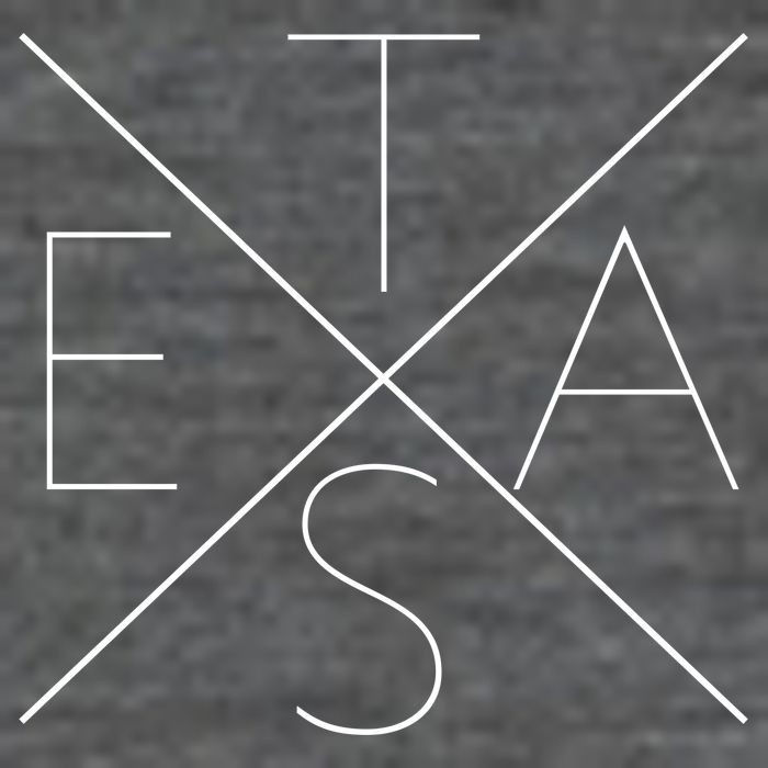Modern Texas  Magnet