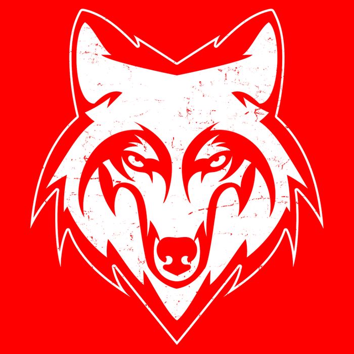 Modern Wolf Face Symbol 16 in Basic Backpack