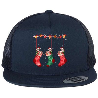 Matching Outfits For Holiday Party Otter Christmas Socks Meaningful Gift Flat Bill Trucker Hat