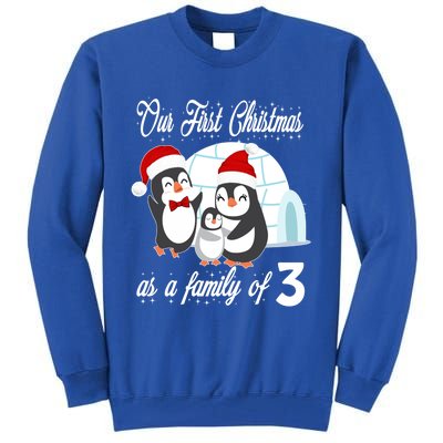 Matching Our First Christmas As A Family Of 3 Penguins Gift Cute Gift Tall Sweatshirt