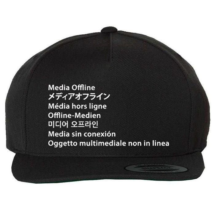 Media Offline Funny Sarcastic Video Editor Error Wool Snapback Cap