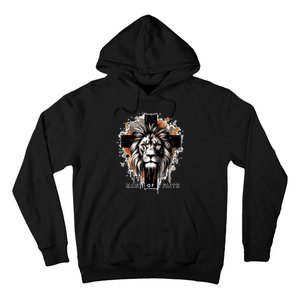 Man Of Faith Lion Of Juda Jesus Christ Cross Christian Catholic Hoodie