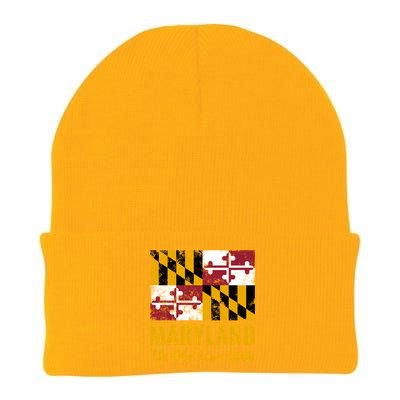 Maryland Old Line State Vintage Flag Funny Gift Knit Cap Winter Beanie