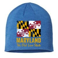 Maryland Old Line State Vintage Flag Funny Gift Sustainable Beanie