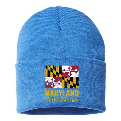 Maryland Old Line State Vintage Flag Funny Gift Sustainable Knit Beanie