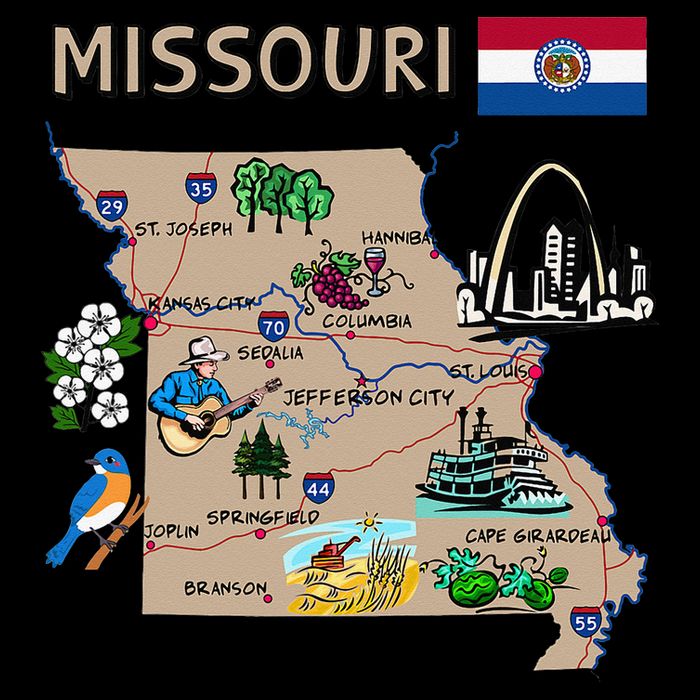 Map of Missouri Landmarks major cities roads flag Long Sleeve Shirt