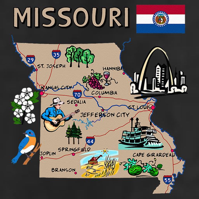 Map Of Missouri Landmarks Major Cities Roads Flag 11oz C Handle Ceramic Mug
