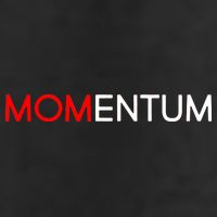 Momentum Mom Adult Drive Performance Visor