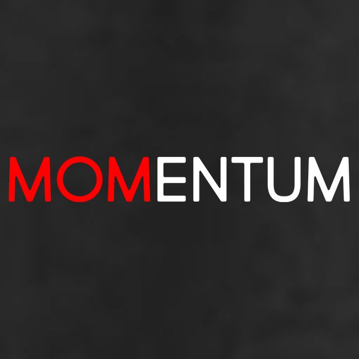 Momentum Mom Adult Drive Performance Visor