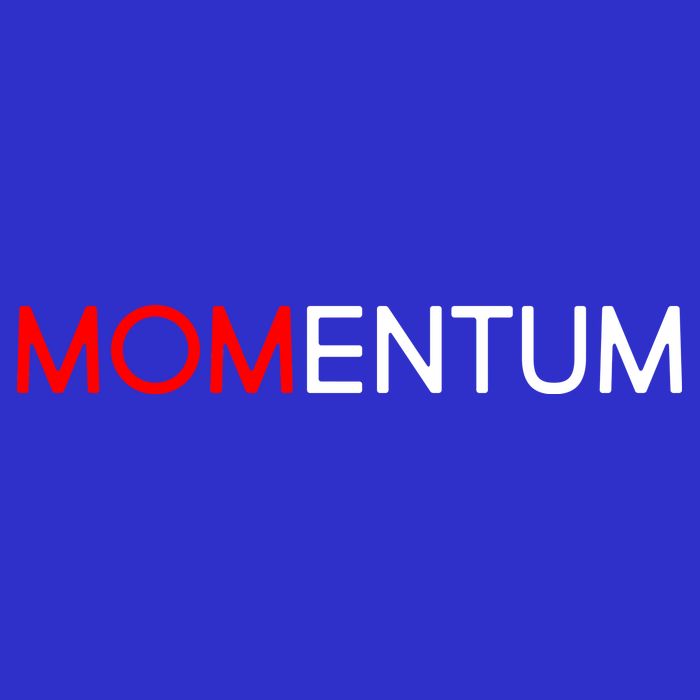 Momentum Mom 16 in Basic Backpack