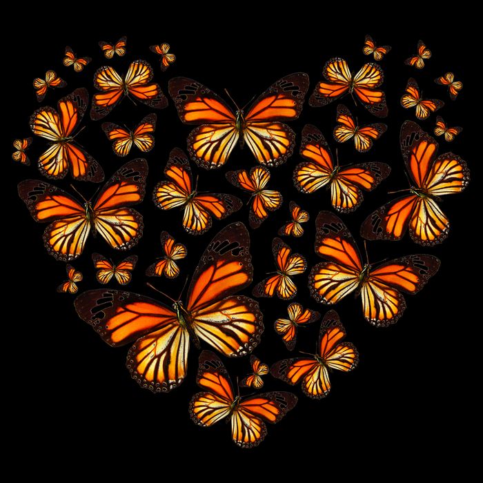 Monarch Butterfly Heart Cooling Performance Crew T-Shirt