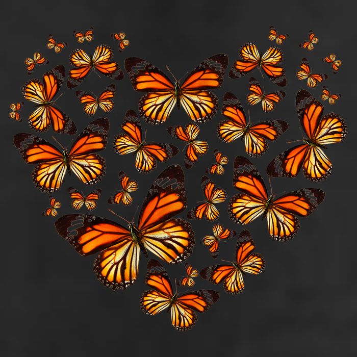 Monarch Butterfly Heart Golf Towel