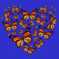 Monarch Butterfly Heart Apron