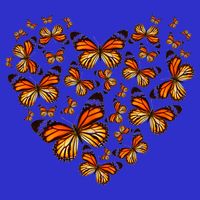 Monarch Butterfly Heart 16 in Basic Backpack