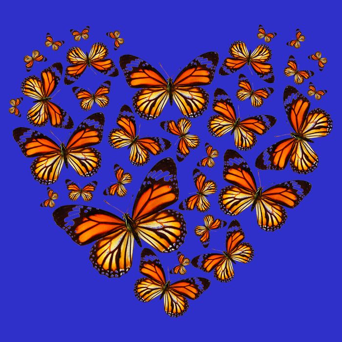 Monarch Butterfly Heart Baby Bodysuit