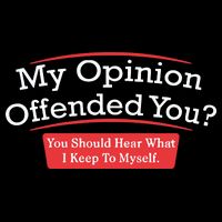 My Opinion Offended You Humor Sarcasm Youth Performance Sprint T-Shirt