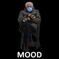 Mood Bernie Sanders Mittens Inauguration Tall T-Shirt