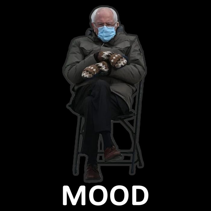 Mood Bernie Sanders Mittens Inauguration Flatbill Hat