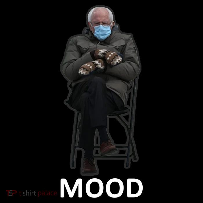 Mood Bernie Sanders Mittens Inauguration Premium T-Shirt