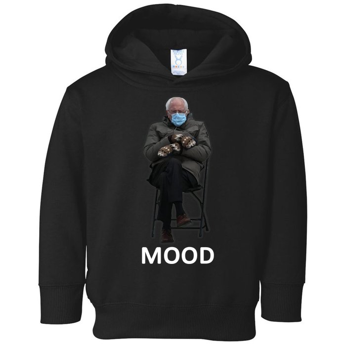 Mood Bernie Sanders Mittens Inauguration Toddler Hoodie