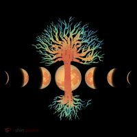 Moon Phases Tree Of Life Button
