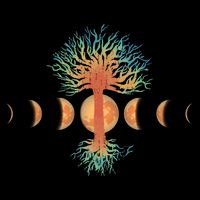 Moon Phases Tree Of Life Bucket Hat