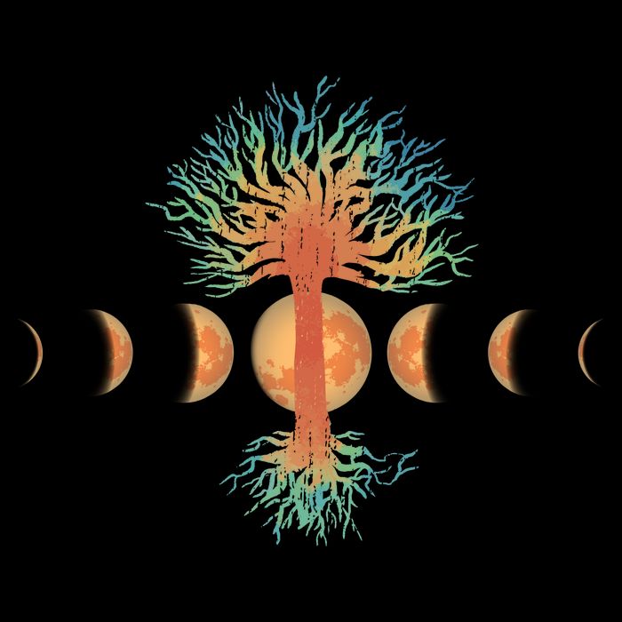Moon Phases Tree Of Life Bucket Hat