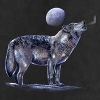 Moon Wolf Adult Drive Performance Visor
