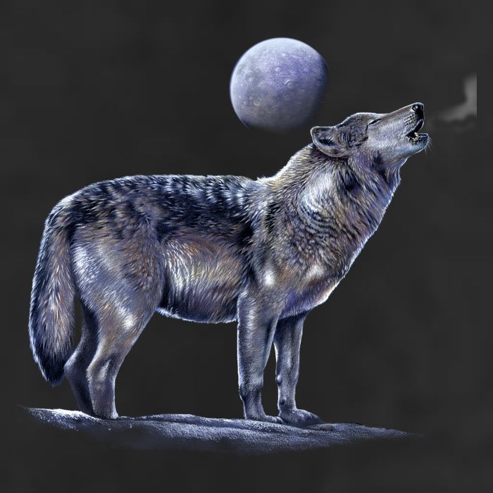 Moon Wolf Adult Drive Performance Visor