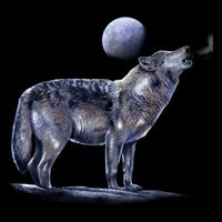 Moon Wolf Wool Snapback Cap